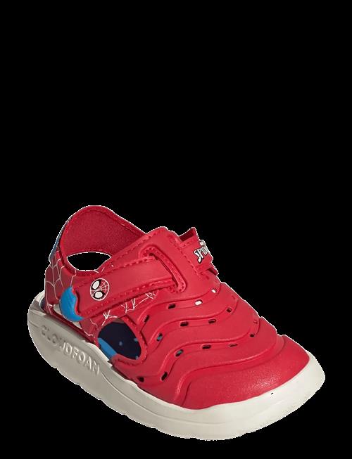 adidas Sportswear | Water Sandal Spider-Man I | 25