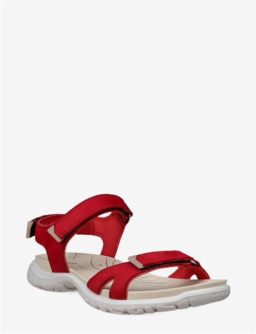 ECCO | Offroad Roam W | 36
