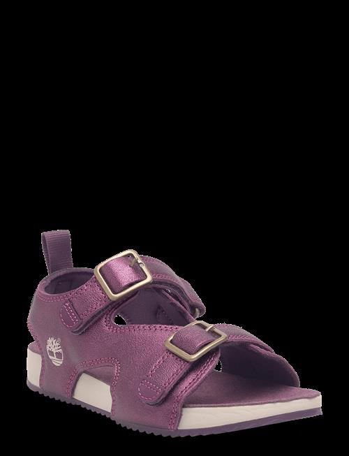 Timberland | Castle Island Backstrap Sandal Bright Purple Metallic | 32