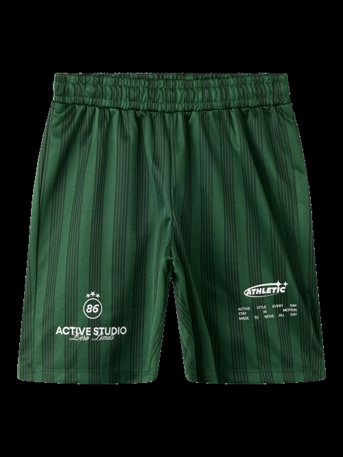 NAME IT Shorts Timo Greener Pastures