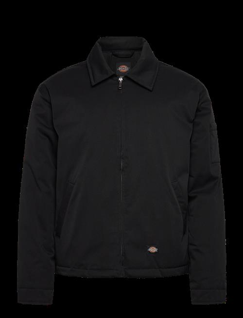 Dickies | M Eisenhower Puffer | XXL