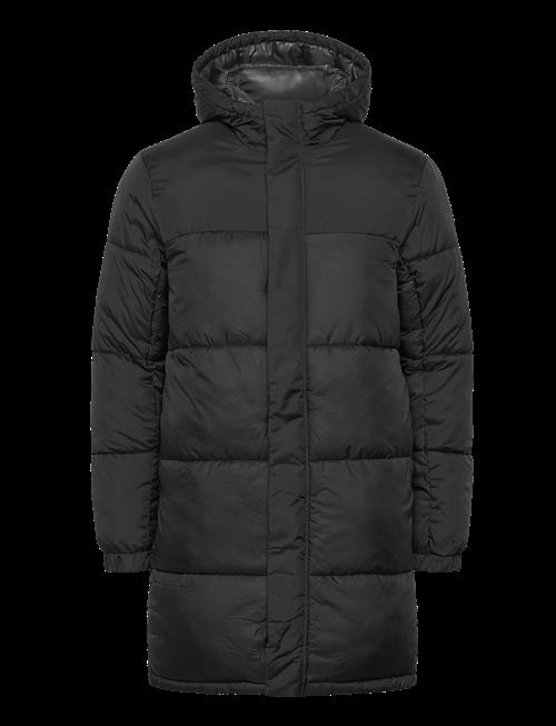 Jack & Jones | Jcounion Long Puffer Jacket Sn | M