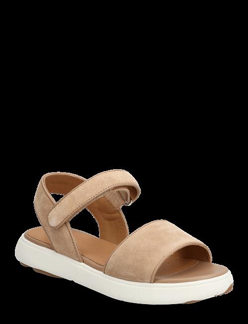 GEOX | D Nebula 2.0 C S A | 39
