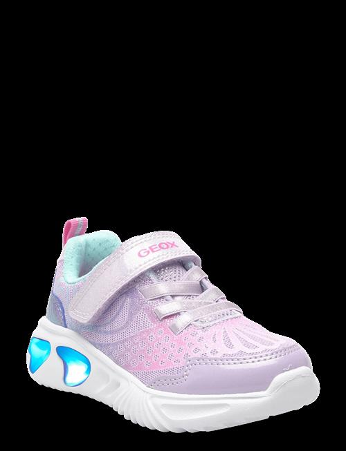 GEOX | J Assister Girl A | 34
