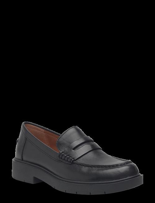 GEOX | D Spherica Ec1 B B | 37