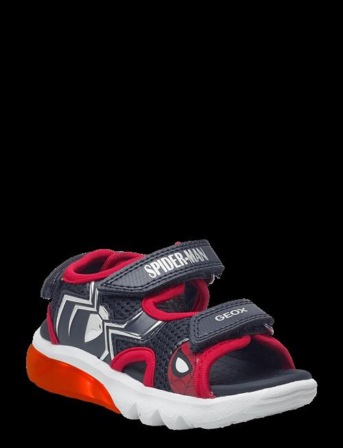 GEOX | J Sandal Ciberdron B | 27