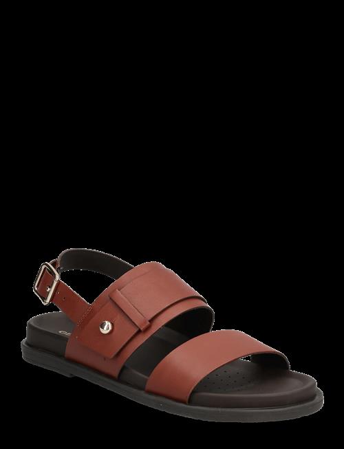 GEOX | D Adelash A | 37