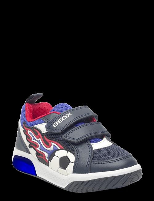 GEOX | J Inek Boy B | 29