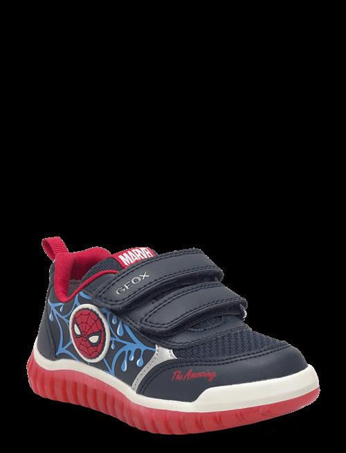 GEOX | B Lightyloo Boy C | 20