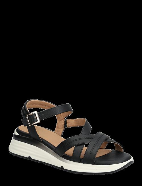 GEOX | D Elowynne A | 37