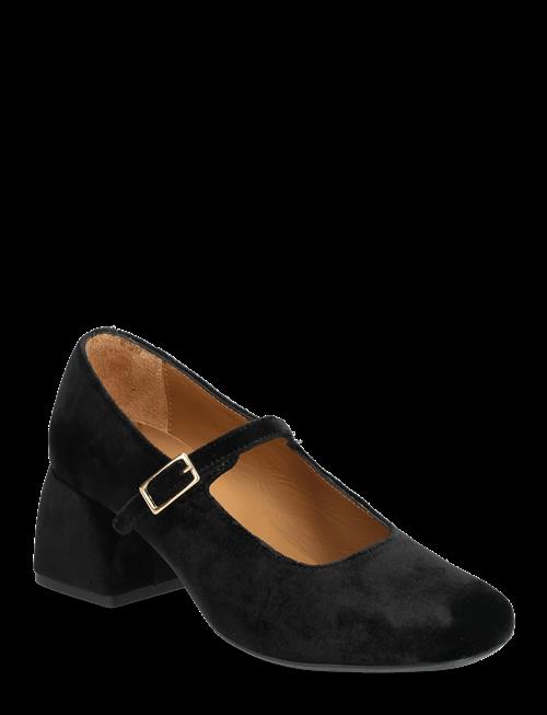 ANGULUS | Shoes - Heel - With Buckle | 36