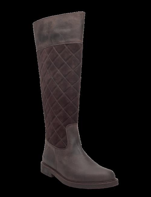 ANGULUS | Booties - Flat | 39