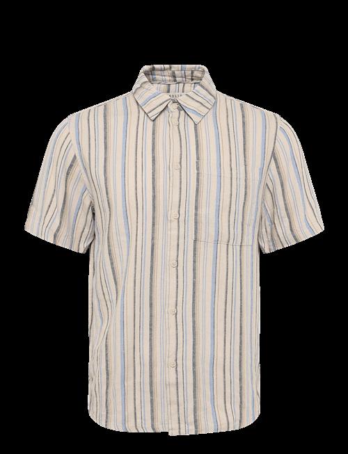 Solid | Sdthomas | XL