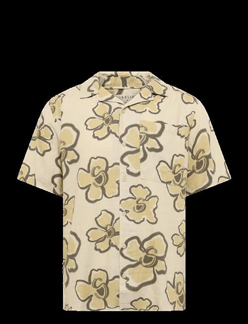 Solid | Sdtrenton | XL