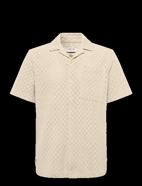 Solid | Sdteagan | XL