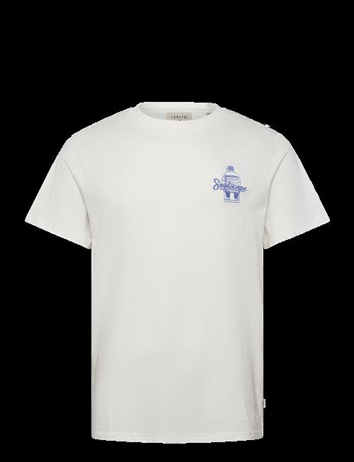 Solid | Sdtrex | M
