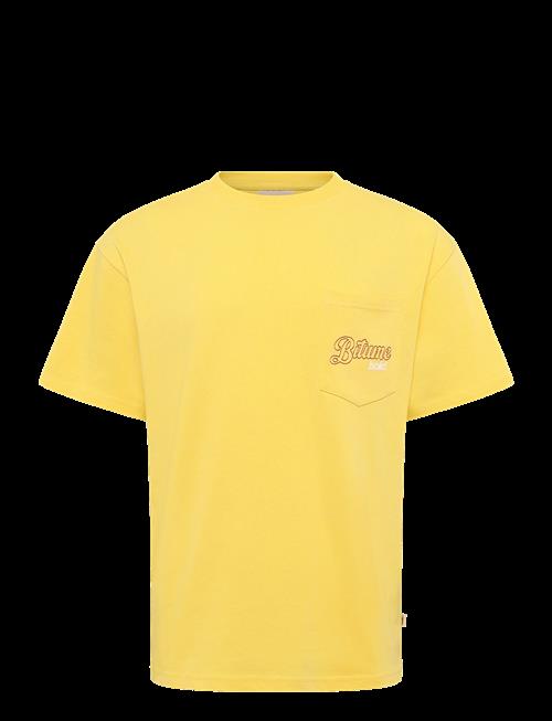 Solid | Sdbrecken | M