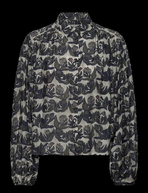 Munthe | Lynx | 44