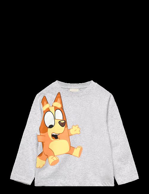 Bluey | Tshirt | 116