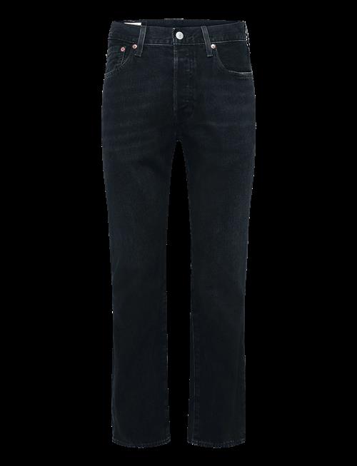 Levi's® | 501 Levisoriginal Tainted Day | 29 x 32