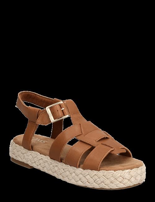 TOMS | Jac | 41