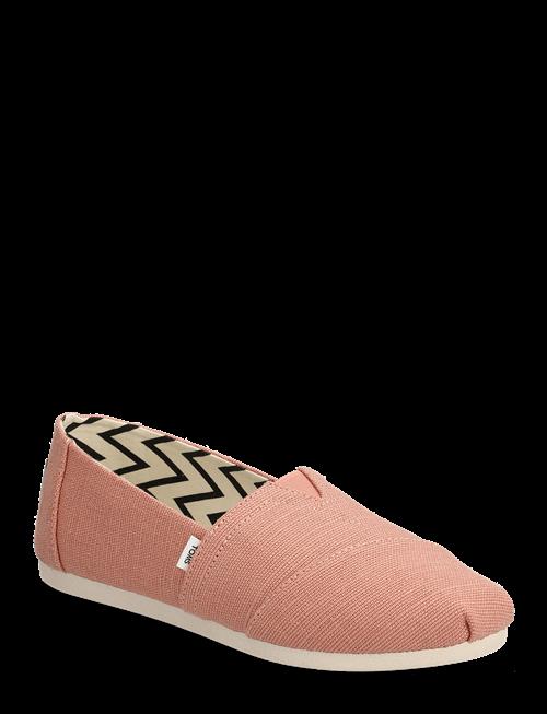 TOMS | Alpargata Classic | 41
