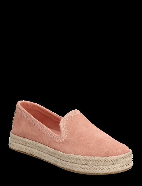 TOMS | Carolina | 41