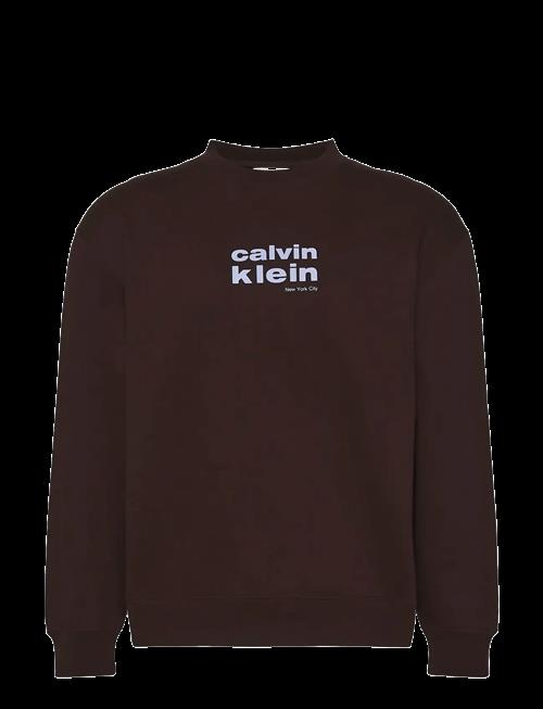 Calvin Klein | Ls 350Fleece Retro Graphic Crewn | XL