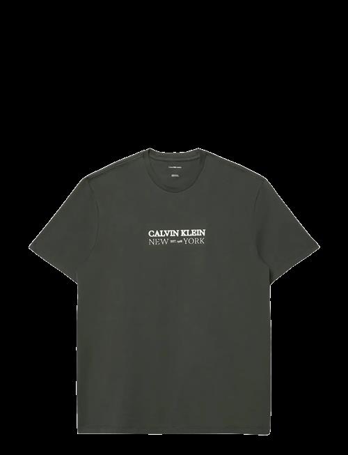 Calvin Klein | Ss 20S Whsl Sp Cklein Ny Graphic | S