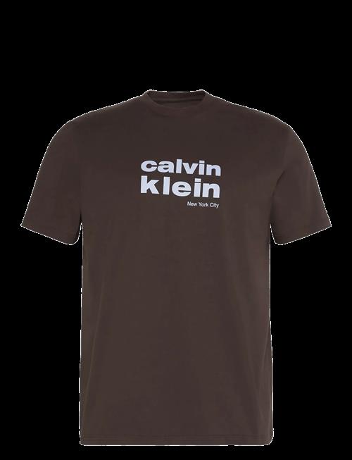 Calvin Klein | Ss 30S Whsl Ckj Jersey Graphic T | S