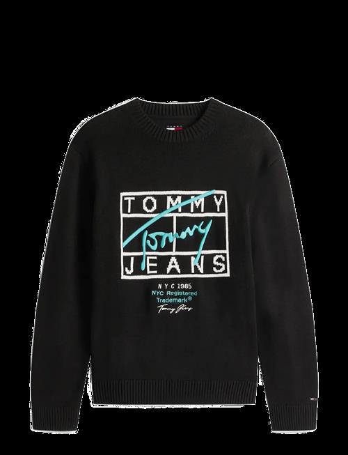 Tommy Jeans | Tjm Reg Signature Sweater Ext | S