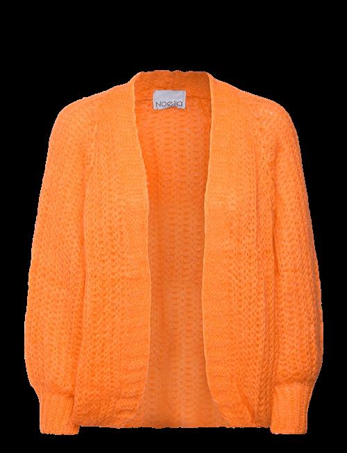 Noella | Joseph Cardigan Solid | L/XL