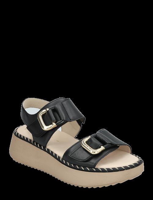 Gabor | Sandal | 42