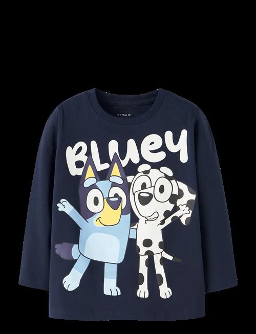name it | Nmmjonas Bluey Ls Nreg Top Box Sky | 116