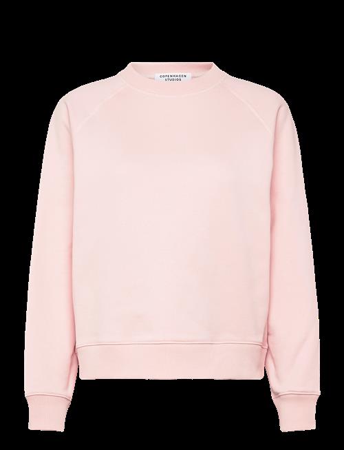 Copenhagen Studios | Cph Sweater 2 Cotton Pink | XL