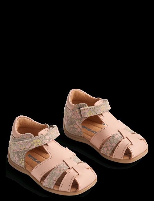 Wheat | Sandal Robbie | 23