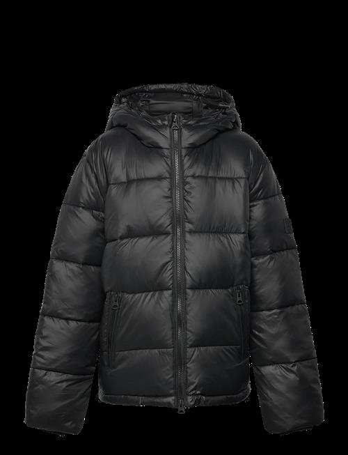 Lexington Clothing | Milo Down Puffer Jacket | 158-164