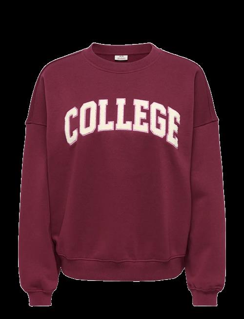JDY | Jdymesa L/S O-Nk Emb Sweat Jrs Noos | M