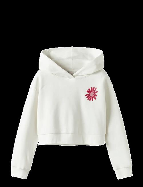 name it | Nkfkory Ls Crop Boxy Swe Wh Bru Ps Noos | 116