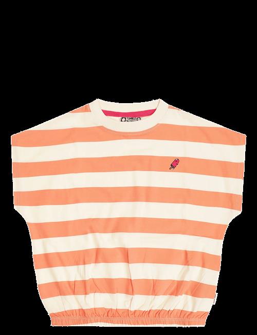 TUMBLE 'N DRY | Tnd Colatina | 92
