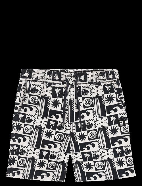 TUMBLE 'N DRY | Tnd Palm Cove | 98