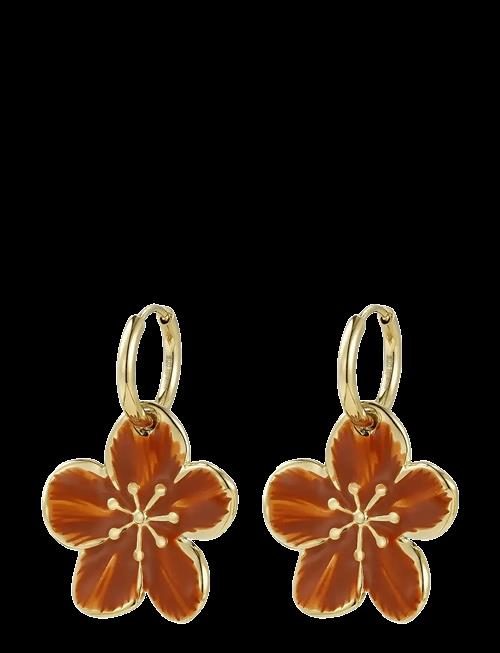 Bud To Rose | Calista Enamel Earring Brown/Gold | ONE SIZE