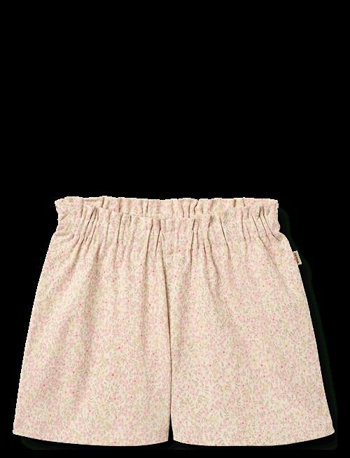 Wheat | Shorts Sandy | 116