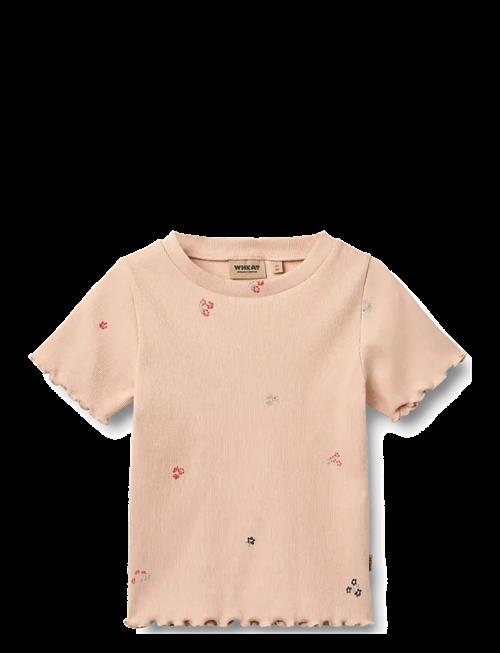 Wheat | Rib T-Shirt S/S Alicia | 116