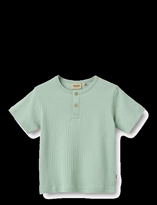 Wheat | T-Shirt S/S Lumi | 122