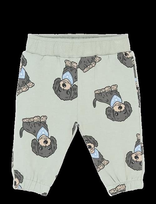 The New | Tnsbsofus Sweatpants | 68