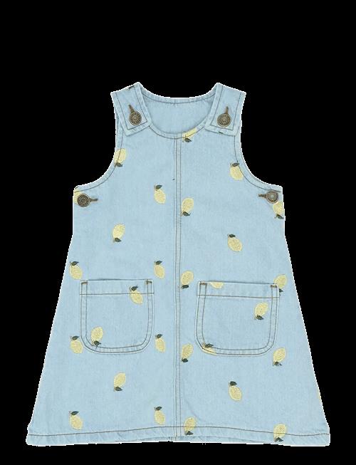 The New | Tnstsaja S_L Denim Dress | 110