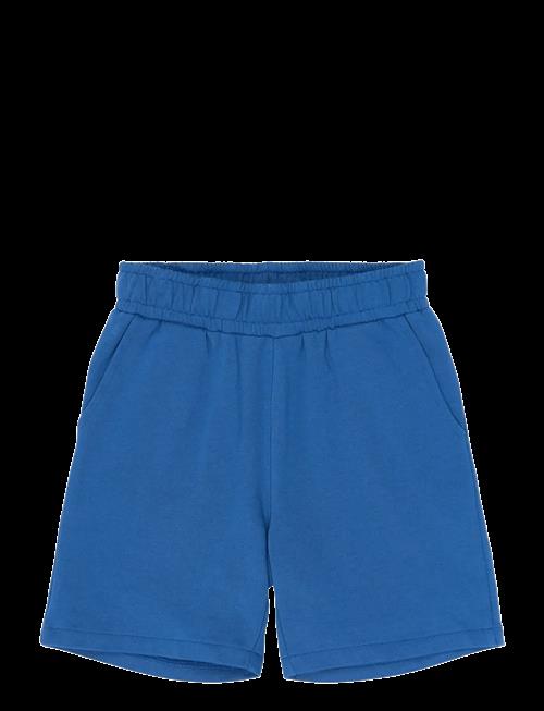 The New | Tnrasmus Sweat Shorts | 146/152