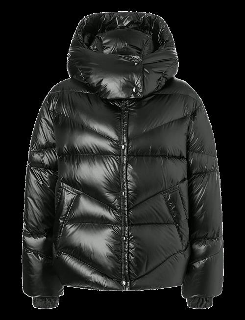 BOGNER | Xally | 42