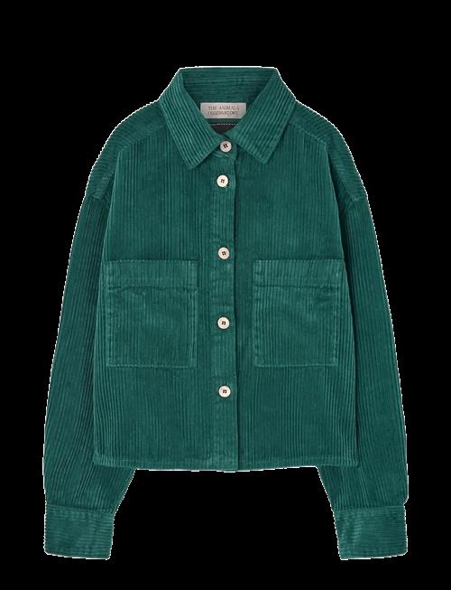 THE ANIMALS OBSERVATORY | Freen Beabull Shirt | 6 Y